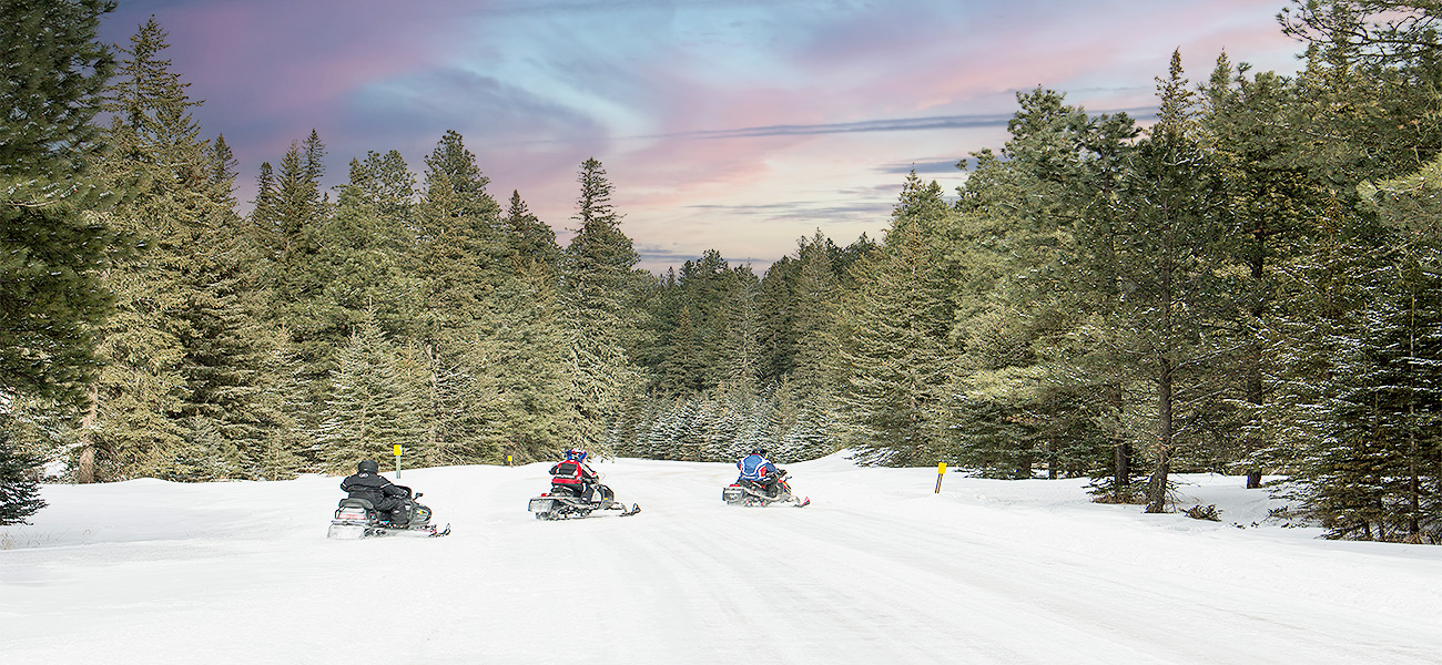 Group of Snowmobiles going across trail in Aspen, Colorado