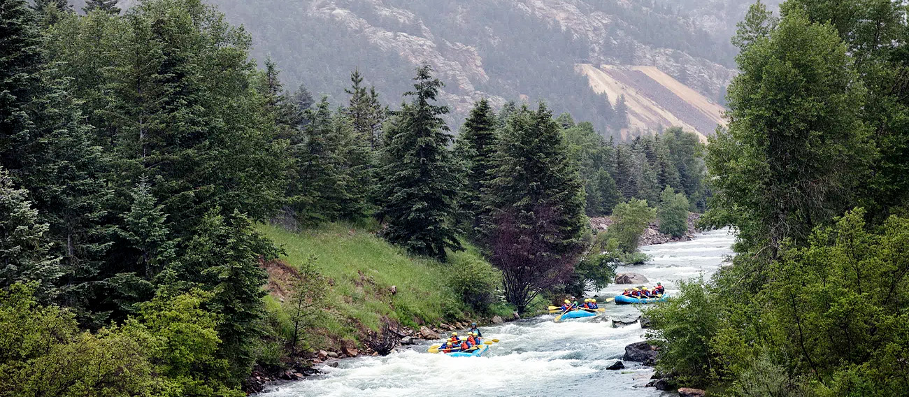 Multiple groups of White Water Rafting going down river in forest 