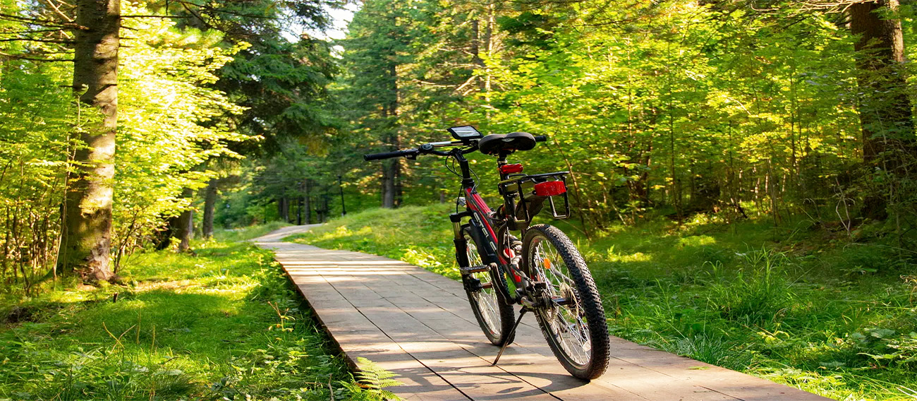 Electric bike on kickstand on a trail in a dense forest 